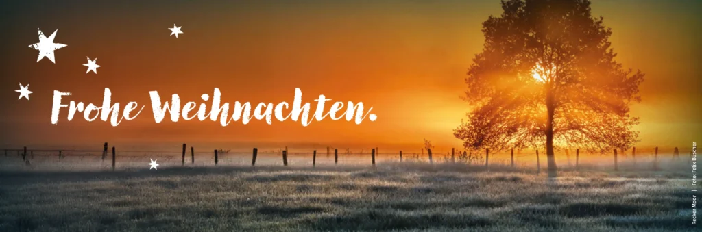 Frohe Weihnachten - Recker Moor | Foto: Felix Büscher